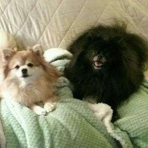 Meet your Posher, Marianne